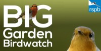 720X368-big-garden-watch-2018